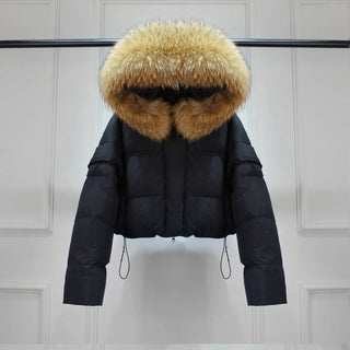 Motta - Korte Puffer Jacket - Bayu